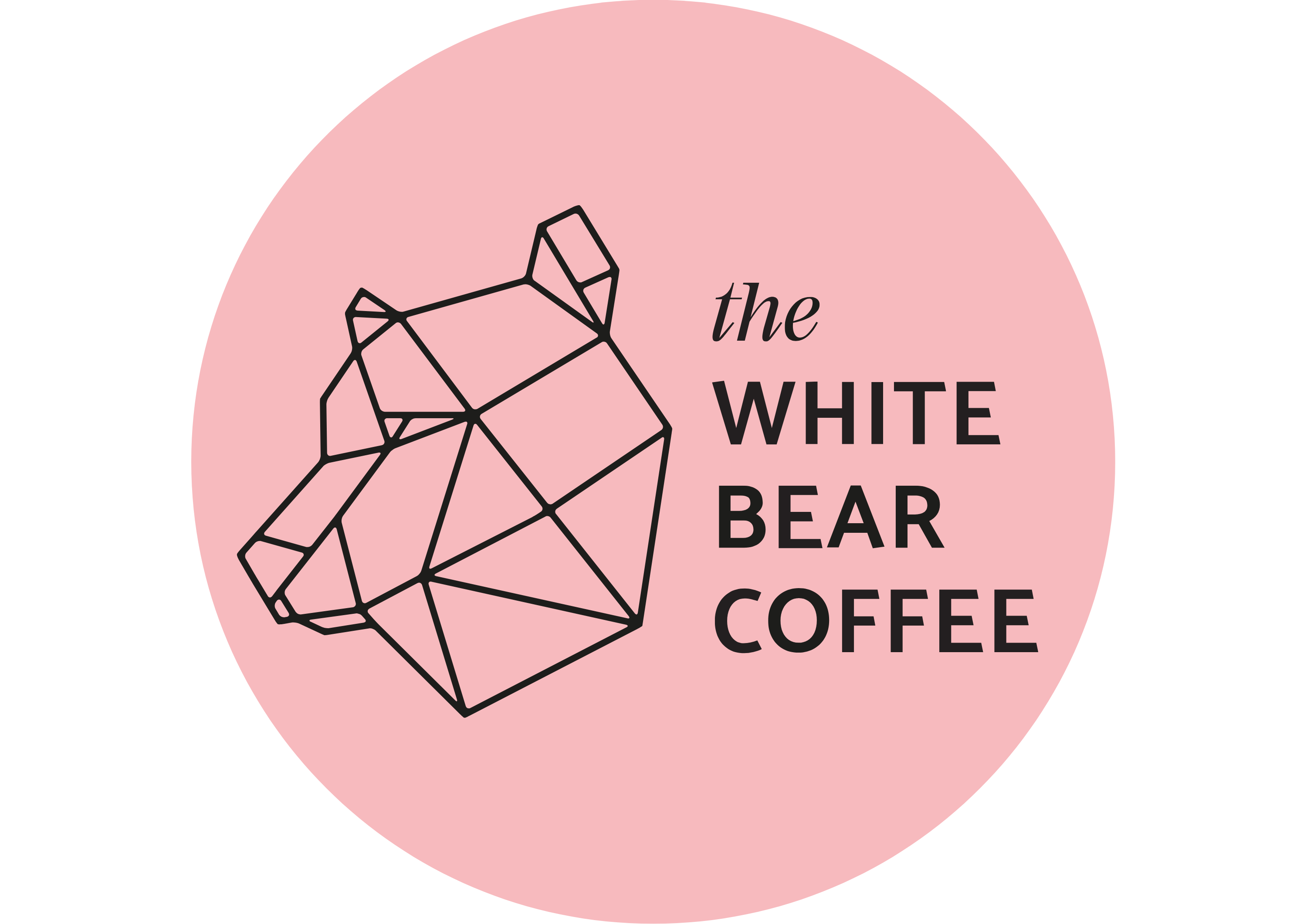 whitebear.png